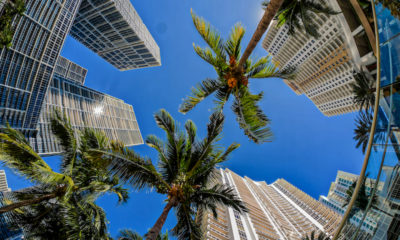 Miami's Real Estate Market Goes to a Meltdown