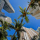 Miami's Real Estate Market Goes to a Meltdown