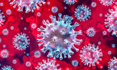 Democrats Using Coronavirus To Do Their Dirty Work, Political Commentator Says