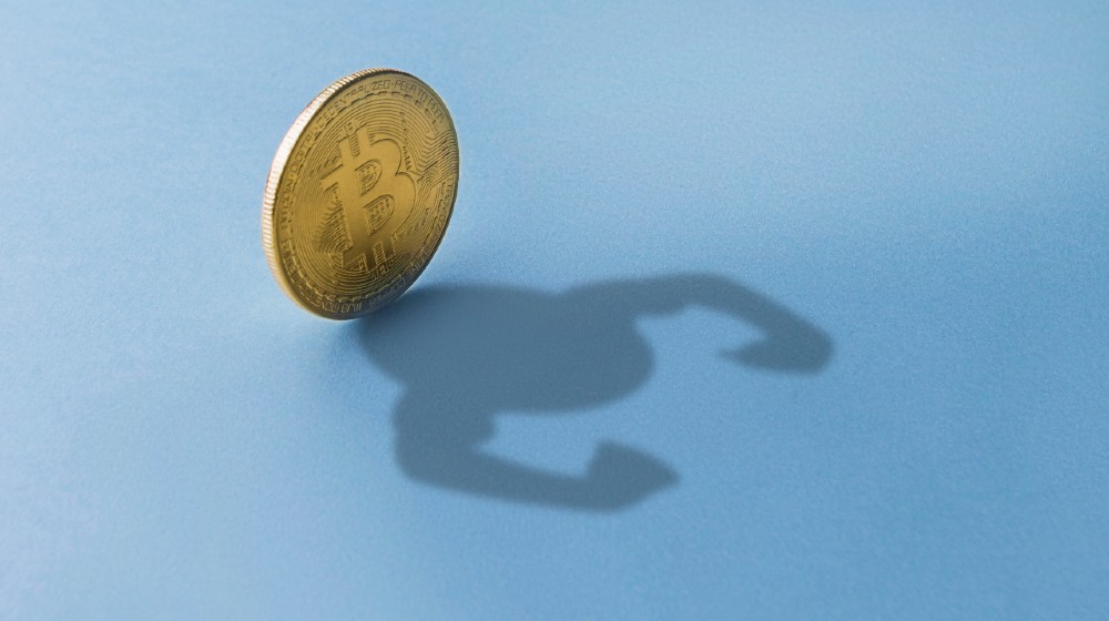 Bitcoin coin leaves a shadow with the hands of a bodybuilder on a blue background. Concept strength and stability cryptocurrency-Bitcoin Stability-ss-featured