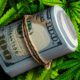 Roll of US dollar bills over the green cannabis leaves. Money and marijuana | Congress Approves Cannabis Banking Bill | Featured