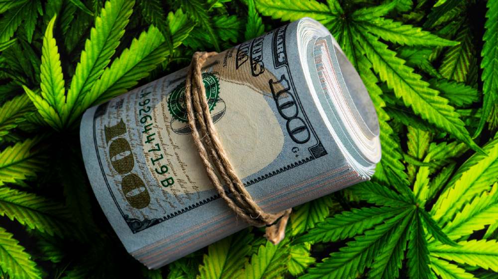 Roll of US dollar bills over the green cannabis leaves. Money and marijuana | Congress Approves Cannabis Banking Bill | Featured
