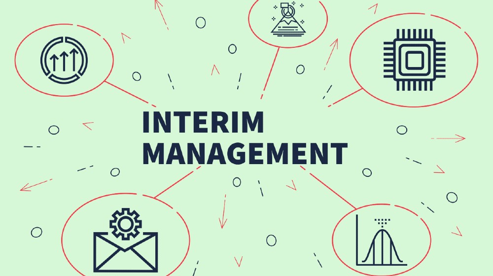 Business illustration showing the concept of interim management | Interim Management Is Having Its Moment | Featured