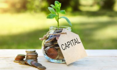 Capital. Glass jar with coins and a plant in it, with a label on the jar and a few coins on a wooden table | The Playbook To Raise Capital for Your Startup | featured