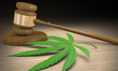 Federal and state laws regulating legal medical marijuana drug use | Amazon Backs Federal Decriminalization of Marijuana | Featured