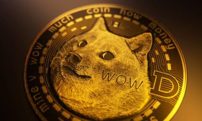 Dogecoin DOGE cryptocurrency | Dogecoin Value Up As Musk And Cuban Agree To Its Strength | featured