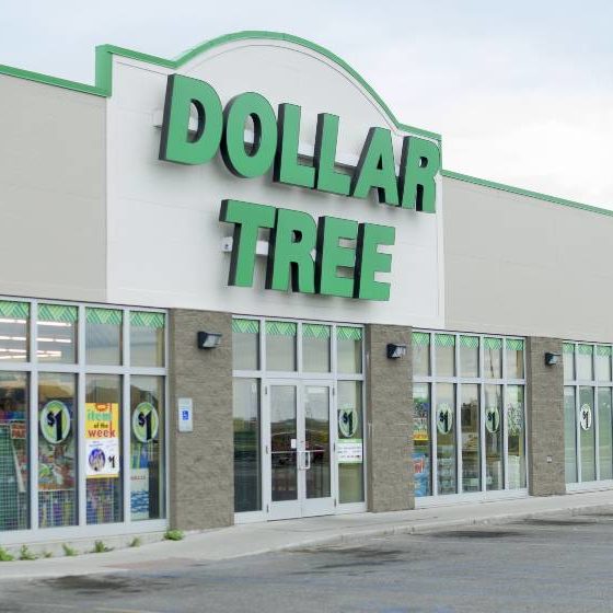 How to Grow a Dollar Tree - The Capitalist