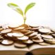 Seedling growing from books with coins | The Magic Money Tree We Had All Along | featured