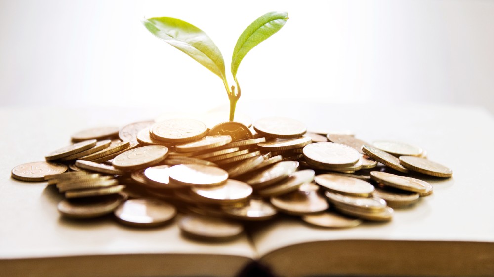 Seedling growing from books with coins | The Magic Money Tree We Had All Along | featured
