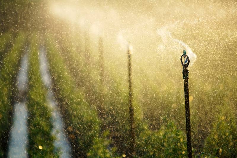 spraying water sprinkler watering plant in farm against sunset light-Liquid Markets