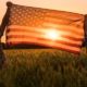 Two men energetically raised the US flag in a picturesque field of wheat | COVID-19 Kills Twice More Rural Americans Vs City Folk | featured