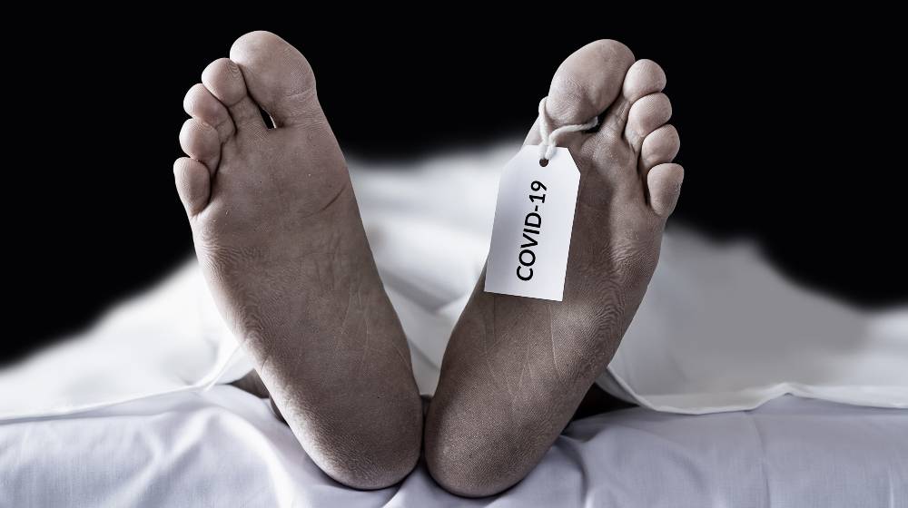 dead bodies hanging tag Covid-19 | US Coronavirus Deaths Now At 800,000 | featured
