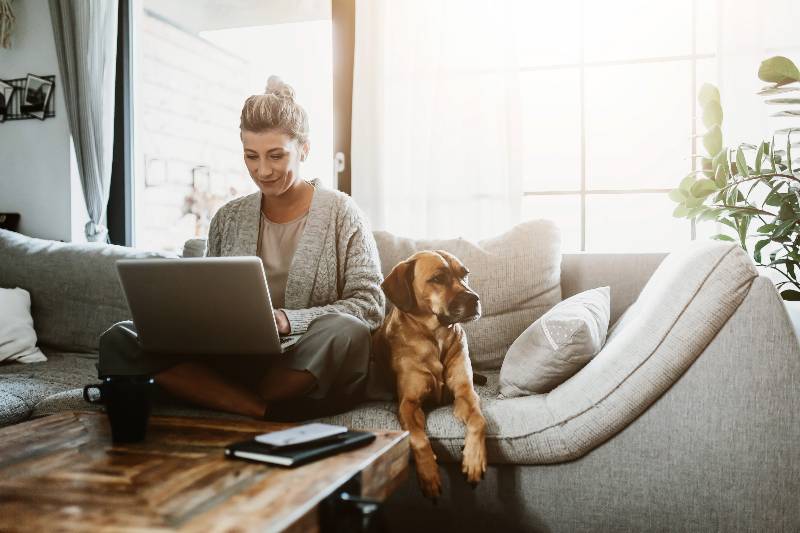 Businesswoman working on laptop computer sitting at home with a dog pet | 61% of Employees Working From Home Choose To Continue Doing So