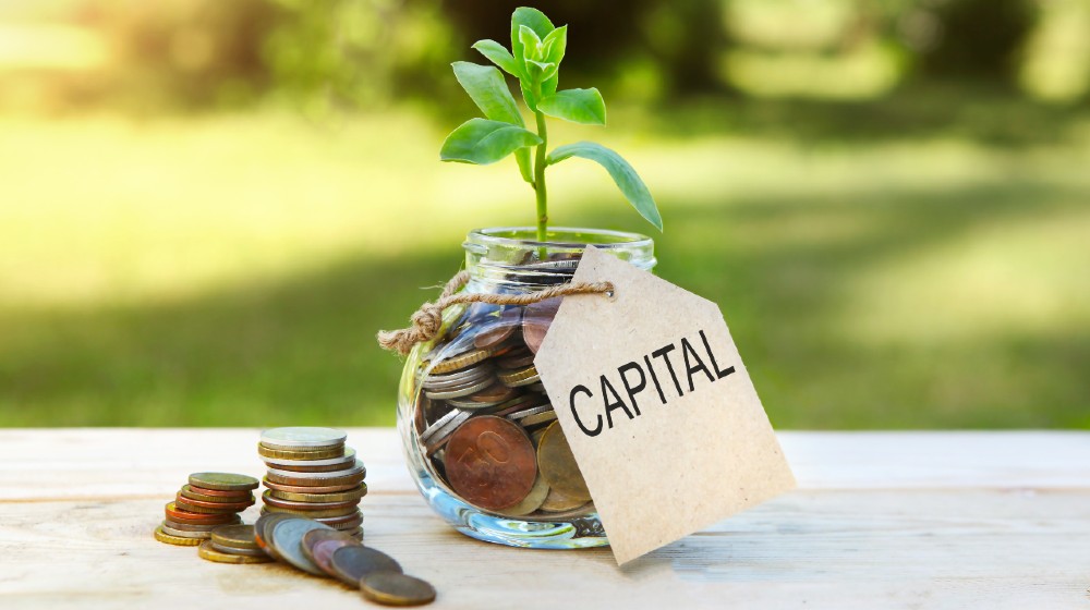 Capital. Glass jar with coins and a plant in it, with a label on the jar and a few coins on a wooden table | The Playbook To Raise Capital for Your Startup | featured