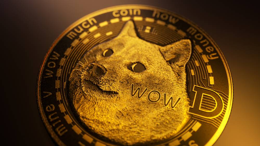 Dogecoin DOGE cryptocurrency | Dogecoin Value Up As Musk And Cuban Agree To Its Strength | featured