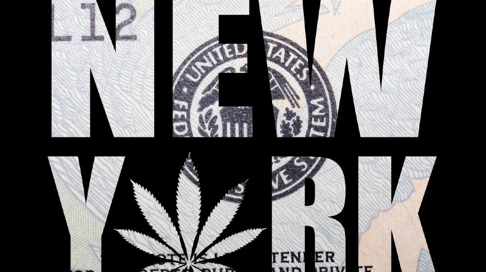 Marijuana in New York. Cannabis Leaf-Recreational Weed-ss-featured