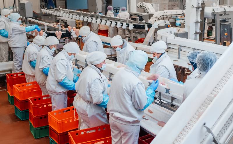 Production line in the food factory.Factory-Pork Plants