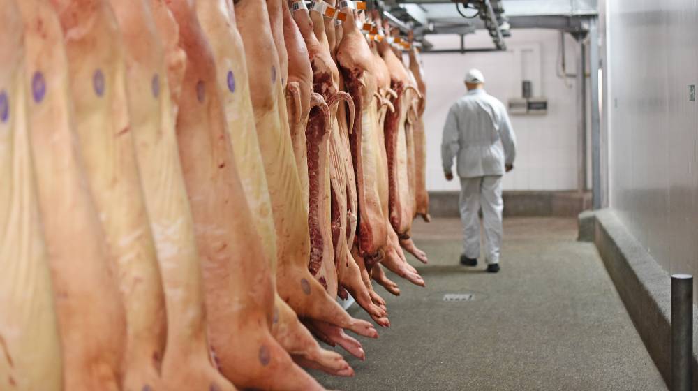 a plant for the production of meat products | Pork Plants Allowed to Operate Faster in Trial Program | featured