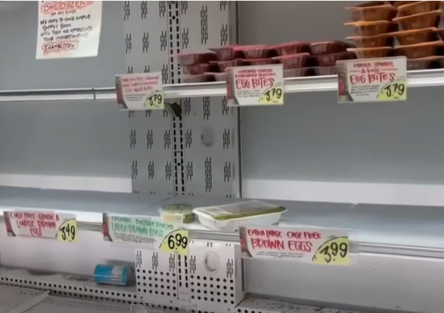 USDA Unveils 5-Part Strategy to Combat Avian Flu and End the Egg Shortage