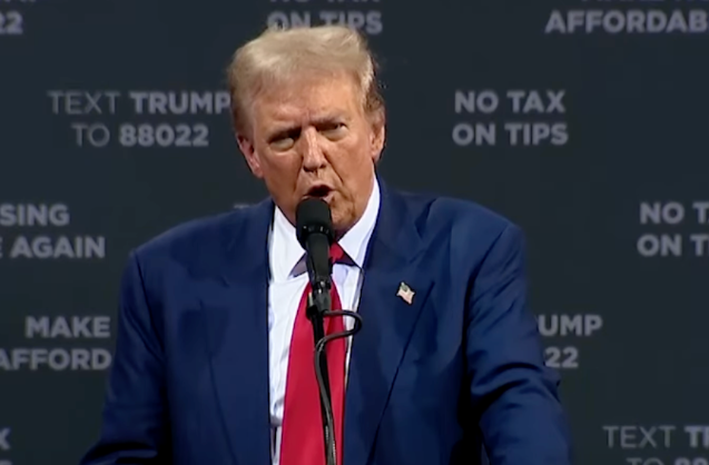 Trump's Tax Promises and Their Business Implications: Opportunity or Risk?